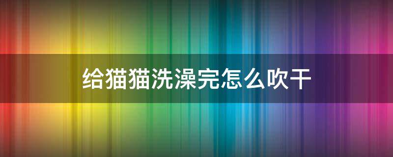 给猫猫洗澡完怎么吹干 给猫洗完澡之后怎么吹干