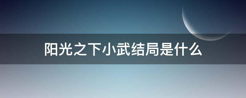 阳光之下小武结局是什么（阳光之下小武最后和谁在一起了）