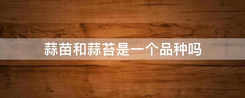 蒜苗和蒜苔是一个品种吗（大蒜和蒜苔是一个品种吗）