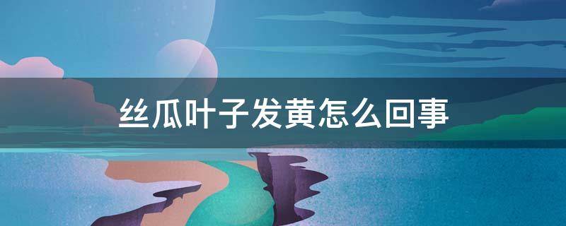 丝瓜叶子发黄怎么回事 丝瓜叶子发黄怎么回事儿