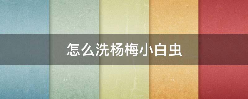 怎么洗杨梅小白虫 杨梅怎么清洗才能给里面的小虫洗掉