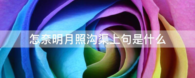怎奈明月照沟渠上句是什么（奈何明月照沟渠的上下句）
