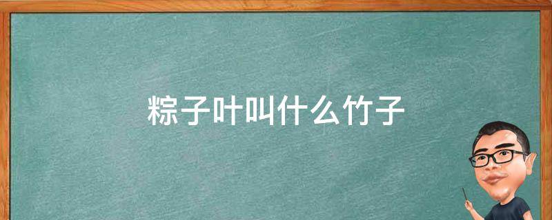 粽子叶叫什么竹子 粽子的竹叶叫什么