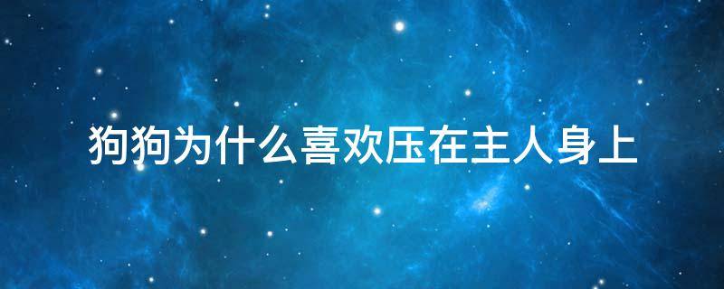 狗狗为什么喜欢压在主人身上 狗狗喜欢压着主人