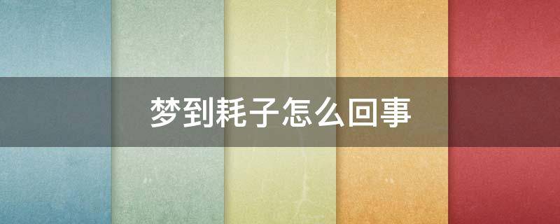 梦到耗子怎么回事 梦到耗子怎么回事儿