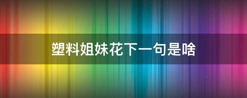 塑料姐妹花下一句是啥 塑料花姐妹什么意思?