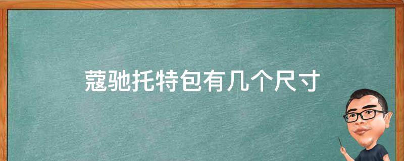 蔻驰托特包有几个尺寸（蔻驰托特包的尺寸）
