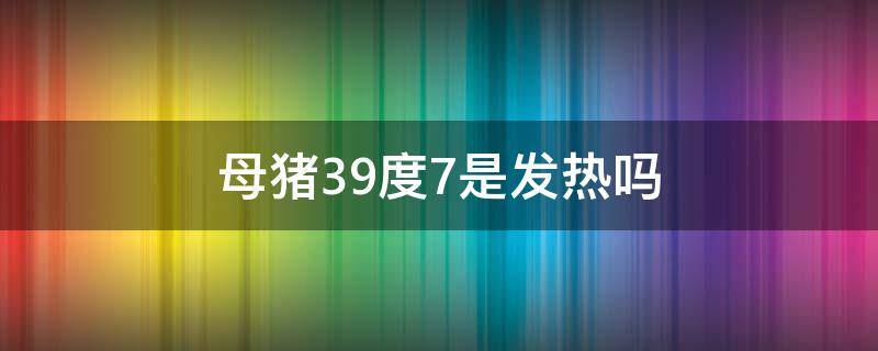 母猪39度7是发热吗 母猪体温39.7是发烧吗