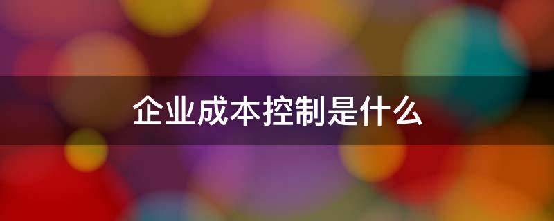 企业成本控制是什么（什么是成本控制?）
