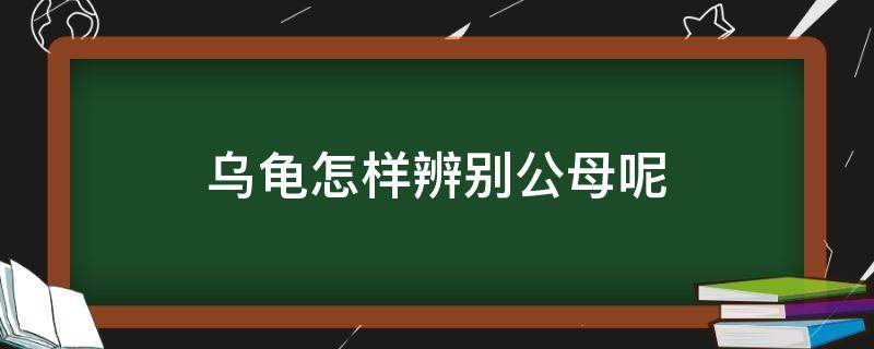 乌龟怎样辨别公母呢（乌龟如何分辨公母?）