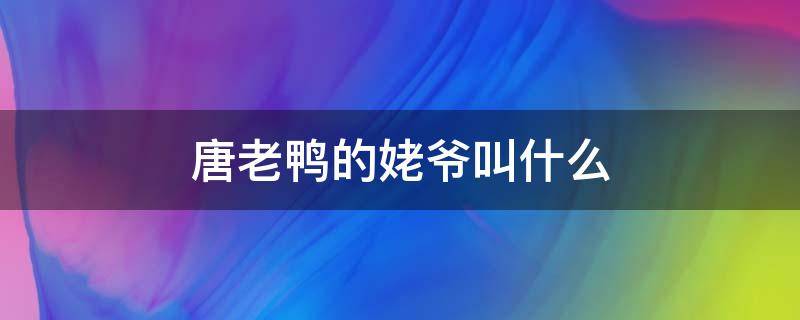 唐老鸭的姥爷叫什么 唐老鸭姐姐叫什么