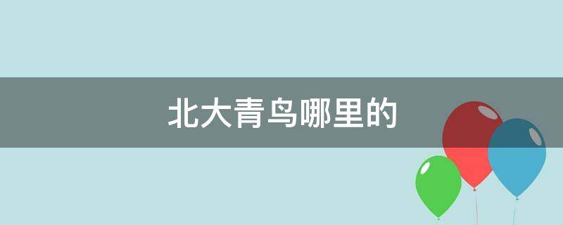 北大青鸟哪里的 哪个北大青鸟