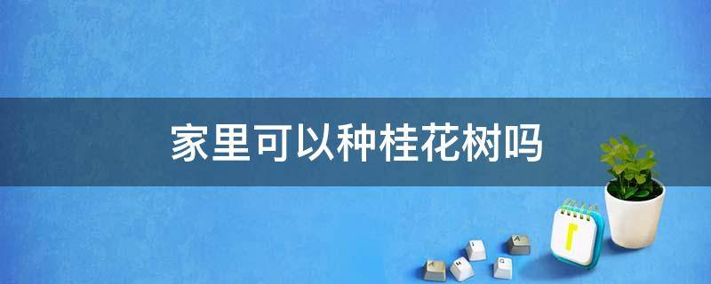 家里可以种桂花树吗（家里可以种桂花树吗?）