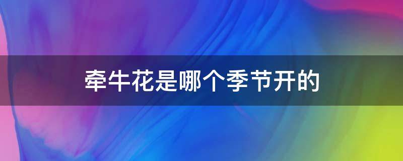 牵牛花是哪个季节开的 牵牛花是哪个季节开的花