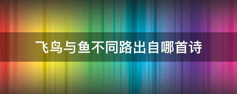 飞鸟与鱼不同路出自哪首诗 飞鸟与鱼不同路的全诗