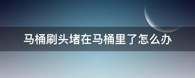 马桶刷头堵在马桶里了怎么办（马桶堵了个刷头怎么办）
