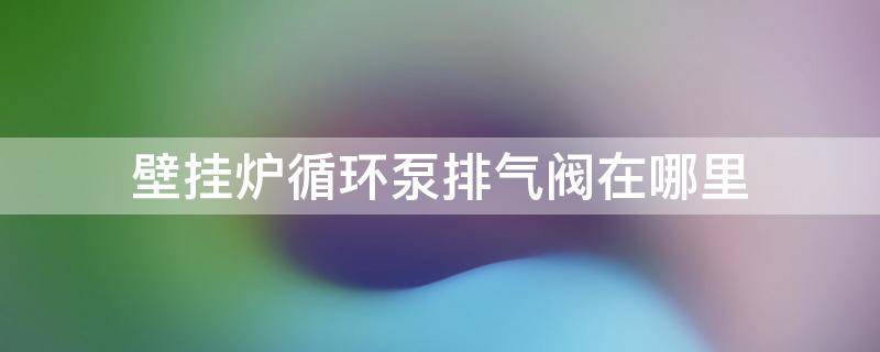 壁挂炉循环泵排气阀在哪里（壁挂炉循环泵上的排气阀在哪里）