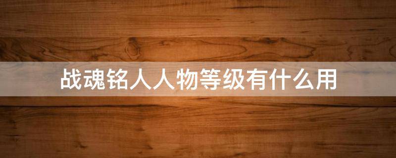 战魂铭人人物等级有什么用（战魂铭人人物最高等级）