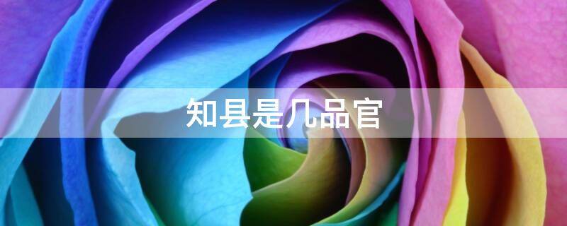 知县是几品官（宋代知县是几品官）
