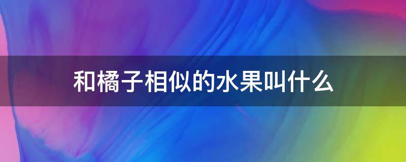 和橘子相似的水果叫什么 和橘子相似的水果有哪些