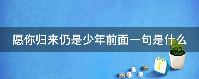 愿你归来仍是少年前面一句是什么（愿你归来仍是少年前面一句是什么意思）