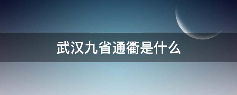 武汉九省通衢是什么（武汉是九省通衢吗）