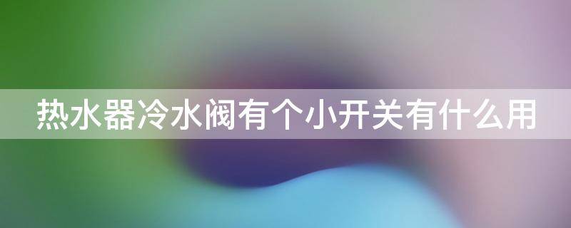 热水器冷水阀有个小开关有什么用（热水器冷水阀有个小开关有什么用呢）