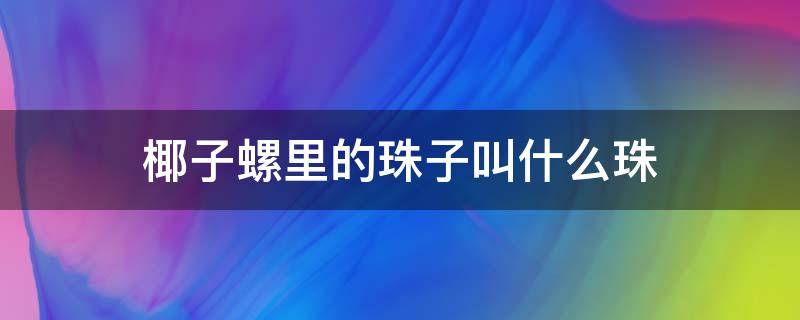 椰子螺里的珠子叫什么珠 椰子螺珠子在哪个部位