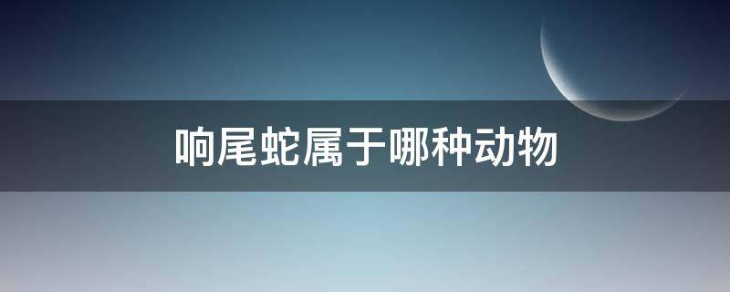 响尾蛇属于哪种动物 响尾蛇属于哪种动物a环节动物b爬行动物c软体动物