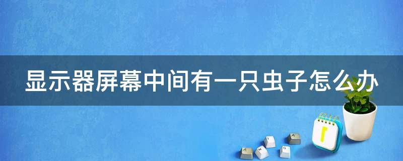 显示器屏幕中间有一只虫子怎么办 显示器屏幕中间有一只虫子怎么办呢