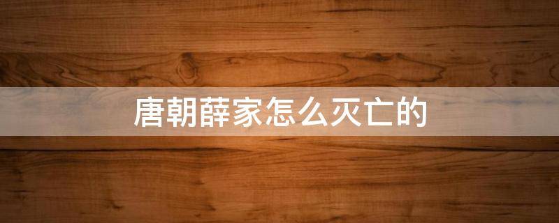 唐朝薛家怎么灭亡的（唐朝薛氏家族的灭亡）