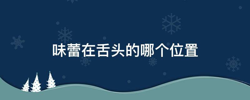 味蕾在舌头的哪个位置（苦味味蕾在舌头的哪个位置）