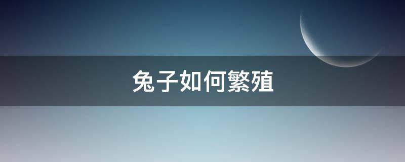 兔子如何繁殖 家养兔子如何繁殖