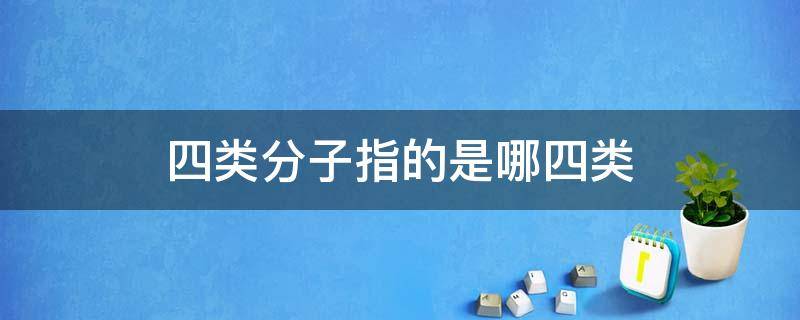 四类分子指的是哪四类 四类分子有哪四类