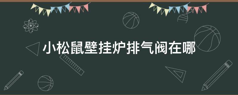 小松鼠壁挂炉排气阀在哪 小松鼠壁挂炉自动排气阀在哪