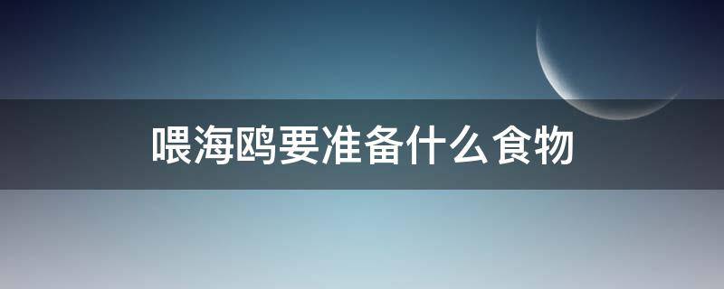 喂海鸥要准备什么食物 喂食海鸥吃什么