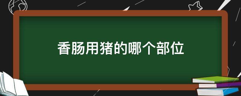 香肠用猪的哪个部位 香肠用猪的哪个部位最好