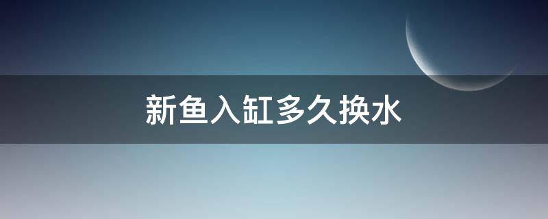 新鱼入缸多久换水 新鱼入缸后多久换水