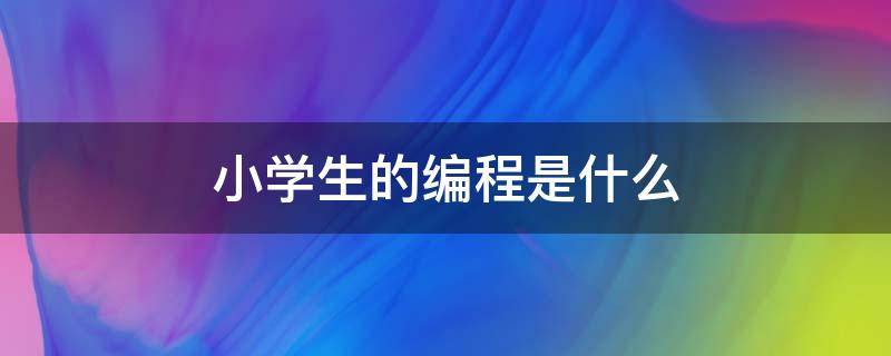 小学生的编程是什么（小学生编程）