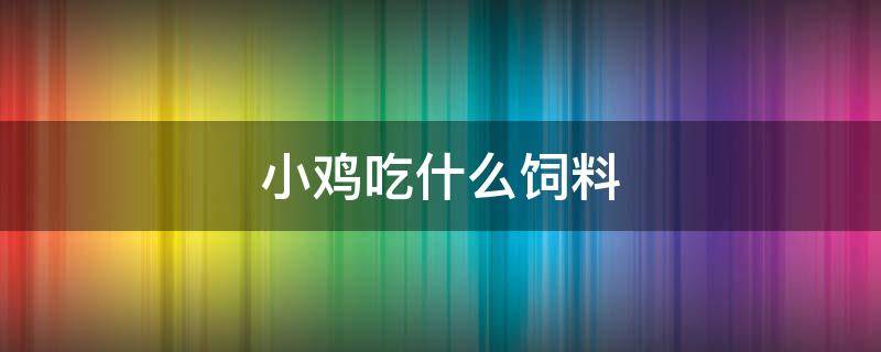 小鸡吃什么饲料 小鸡吃什么饲料好