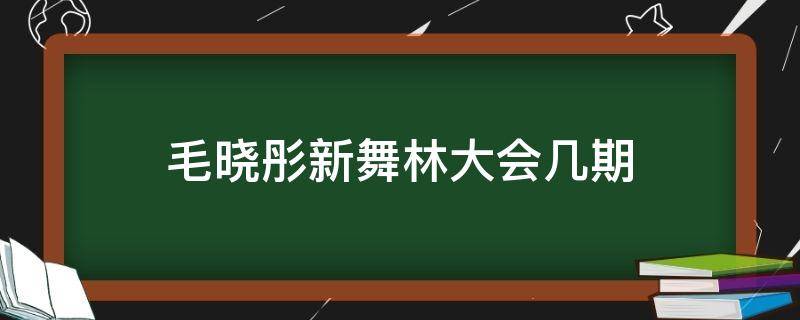 毛晓彤新舞林大会几期 毛晓彤新舞林大会哪一期