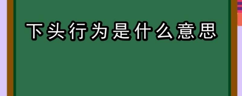 下头行为是什么意思（下头的行为是什么意思）