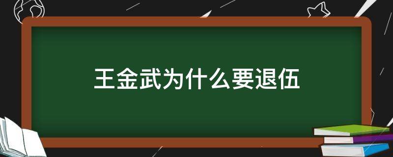 王金武为什么要退伍（王金武班长退伍后在干嘛）