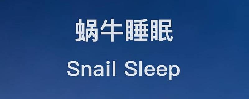 蜗牛睡眠的精选鼾声是全部吗 蜗牛睡眠如果跟老公一起睡,录的是谁的鼾声