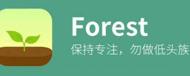 theforest怎么改中文（theforest怎么设置中文）