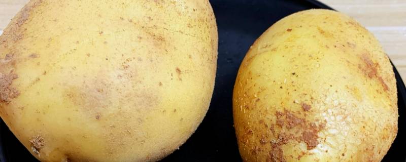 夏天土豆怎么保存不发绿不长牙 夏季土豆怎么保存不发绿不长牙