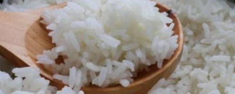 米饭怎么蒸好吃又香 蒸米饭怎么做更香