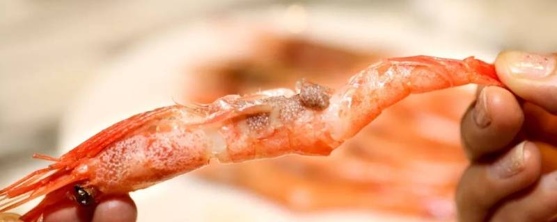 甜虾怎么做好吃 冷冻甜虾怎么做好吃
