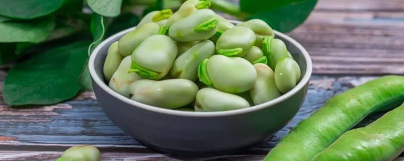 蚕豆怎样做好吃 蚕豆怎样做好吃视频