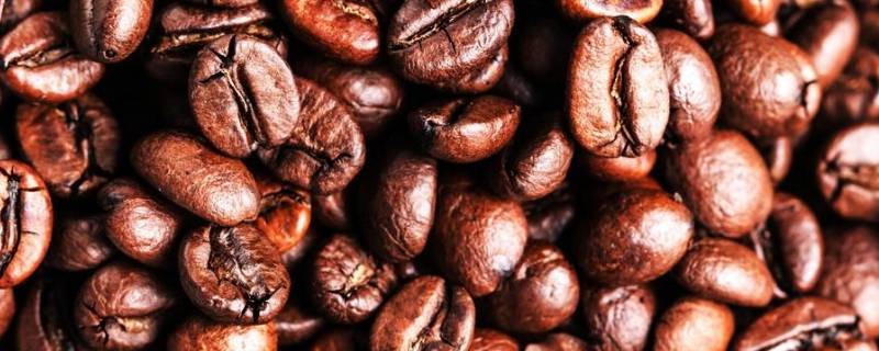 咖啡豆怎么吃法 咖啡豆的吃法
